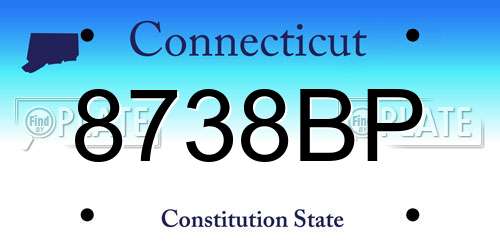 8738BP Connecticut License Plate
