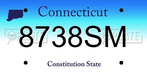 8738SM Connecticut License Plate