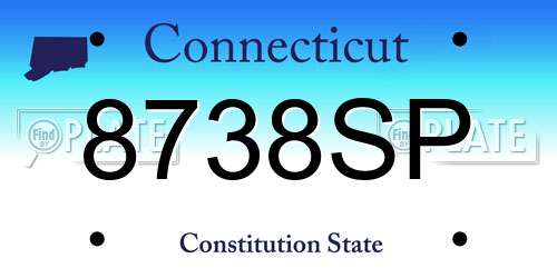 8738SP Connecticut License Plate
