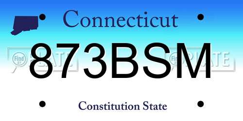 873BSM Connecticut License Plate