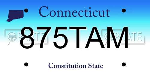 875TAM Connecticut License Plate