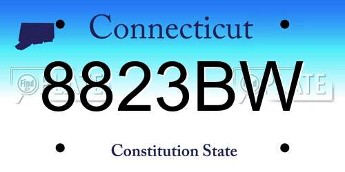 8823BW Connecticut License Plate