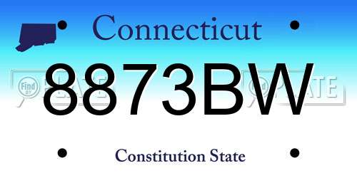 8873BW Connecticut License Plate