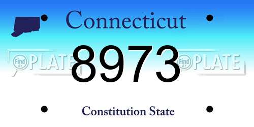 8973 Connecticut License Plate