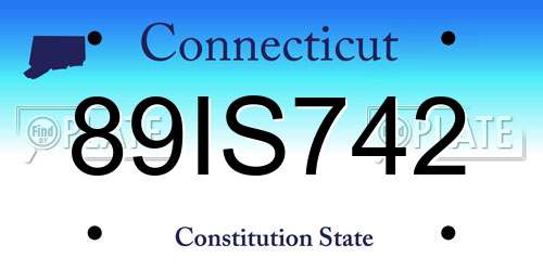 89IS742 Connecticut License Plate
