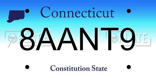 8AANT9 Connecticut License Plate