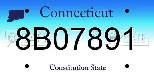 8B07891 Connecticut License Plate