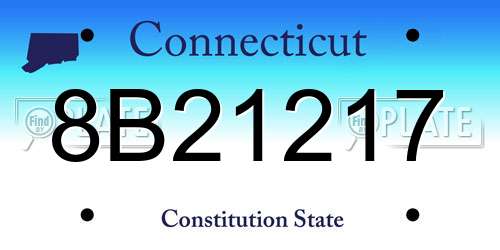 8B21217 Connecticut License Plate