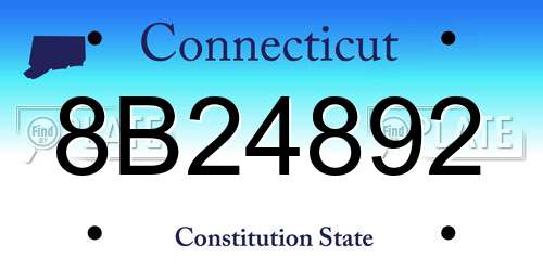 8B24892 Connecticut License Plate