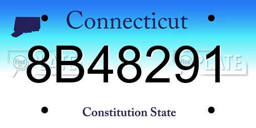 8B48291 Connecticut License Plate