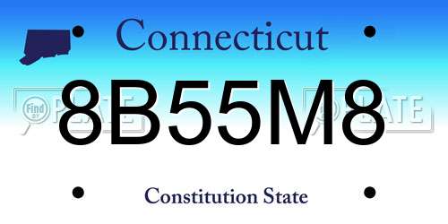 8B55M8 Connecticut License Plate