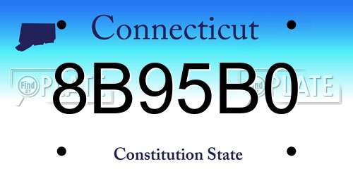 8B95B0 Connecticut License Plate