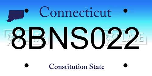 8BNS022 Connecticut License Plate