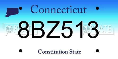 8BZ513 Connecticut License Plate