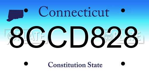 8CCD828 Connecticut License Plate