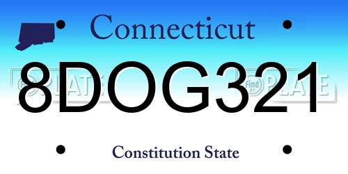 8DOG321 Connecticut License Plate