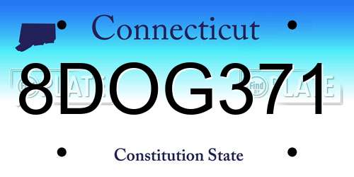 8DOG371 Connecticut License Plate