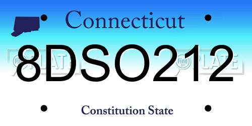 8DSO212 Connecticut License Plate