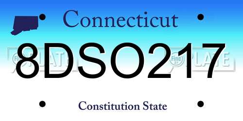 8DSO217 Connecticut License Plate
