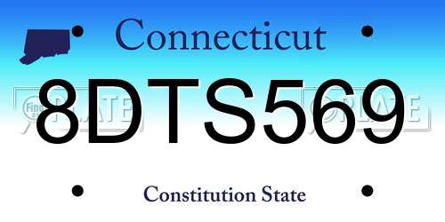 8DTS569 Connecticut License Plate