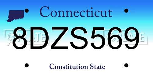 8DZS569 Connecticut License Plate