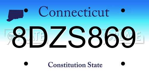 8DZS869 Connecticut License Plate