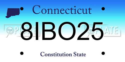 8IBO25 Connecticut License Plate