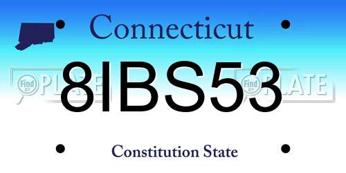 8IBS53 Connecticut License Plate