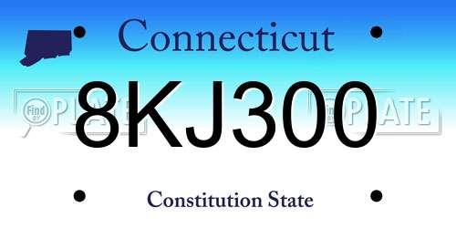 8KJ300 Connecticut License Plate