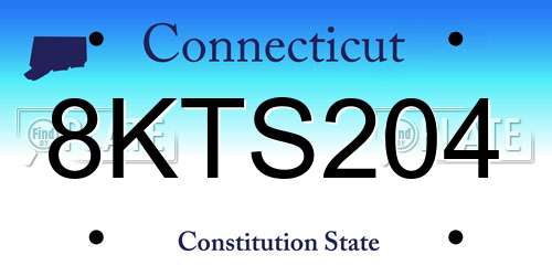 8KTS204 Connecticut License Plate