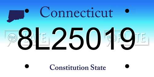 8L25019 Connecticut License Plate