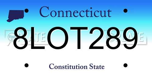 8LOT289 Connecticut License Plate