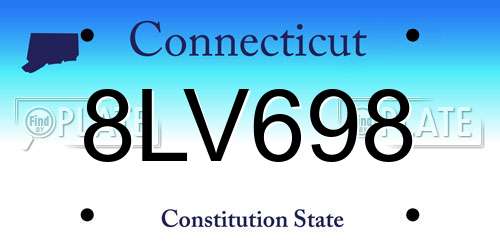 8LV698 Connecticut License Plate