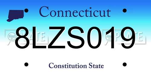 8LZS019 Connecticut License Plate