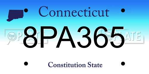 8PA365 Connecticut License Plate