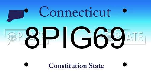 8PIG69 Connecticut License Plate