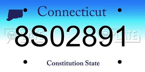 8S02891 Connecticut License Plate