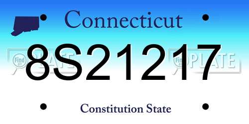 8S21217 Connecticut License Plate