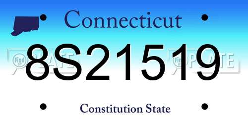 8S21519 Connecticut License Plate
