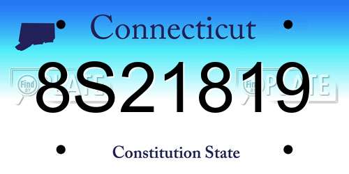 8S21819 Connecticut License Plate
