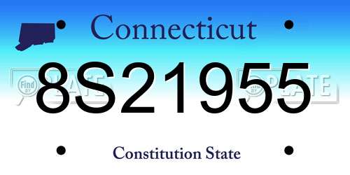 8S21955 Connecticut License Plate
