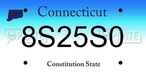 8S25S0 Connecticut License Plate