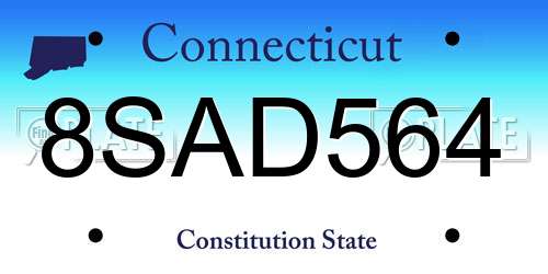 8SAD564 Connecticut License Plate