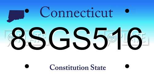 8SGS516 Connecticut License Plate