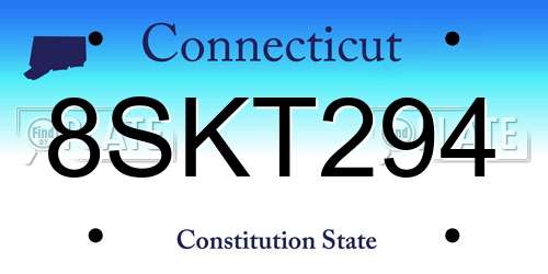 8SKT294 Connecticut License Plate