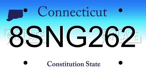 8SNG262 Connecticut License Plate