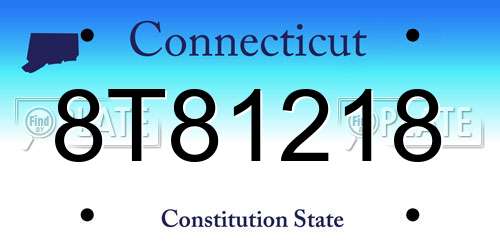 8T81218 Connecticut License Plate
