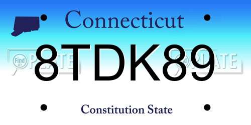 8TDK89 Connecticut License Plate