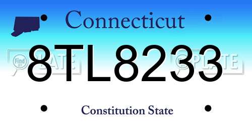 8TL8233 Connecticut License Plate
