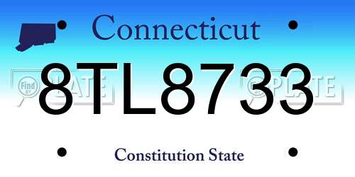8TL8733 Connecticut License Plate